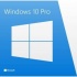 Microsoft Windows 10 Pro 32/64-bit 1 Licence Multi-Language σε Ηλεκτρονική άδεια