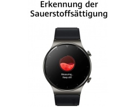Huawei Watch GT 2 Pro 47mm (Nebula Gray) Huawei Watch GT 2 Pro 47mm (Nebula Gray)