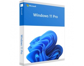 Microsoft Windows 11 Professional ESD