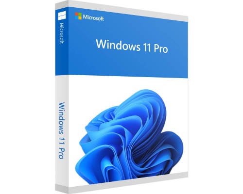 Microsoft Windows 11 Professional ESD