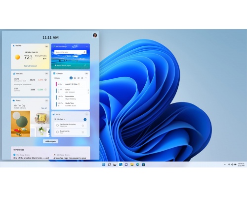 Microsoft Windows 11 Professional ESD