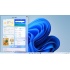 Microsoft Windows 11 Professional ESD