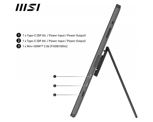 MSI Pro MP161 E2 IPS Monitor 15.6" FHD 1920x1080 με Χρόνο Απόκρισης 4ms GTG